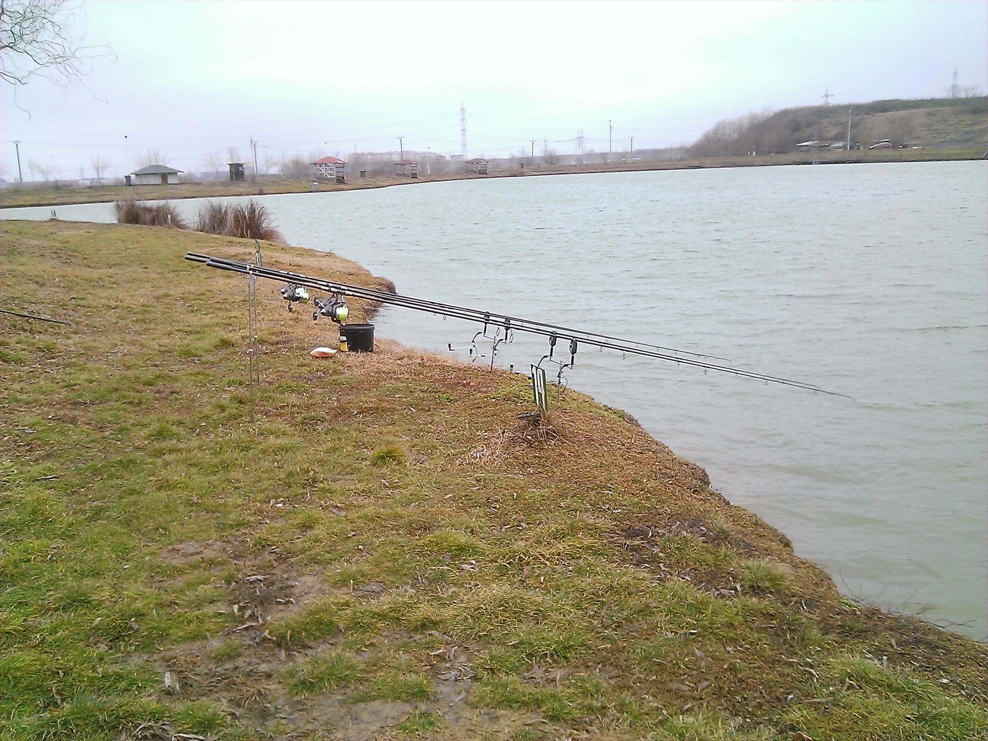 Floarea Popestiului 23 - 23 feb. - wp20130223004.jpg